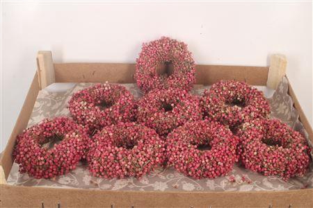 <h4>Krans Schinus 12cm X8</h4>