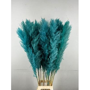 Df Pampas 130cm Turquoise