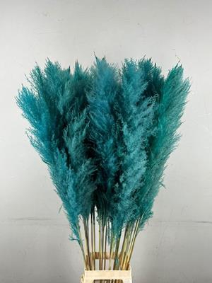 <h4>Df Pampas 130cm Turquoise</h4>