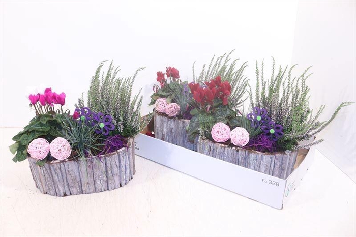<h4>ARR TUINPLANTEN</h4>