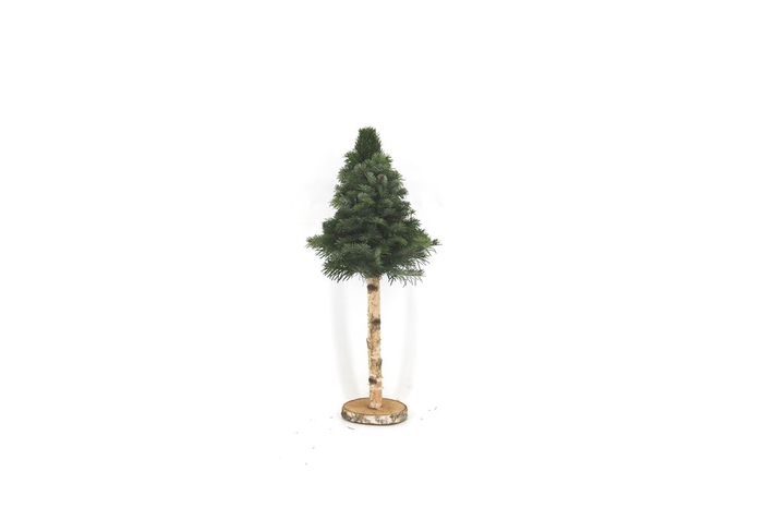 <h4>Kerstboom Nobilis Op Stok 80cm</h4>