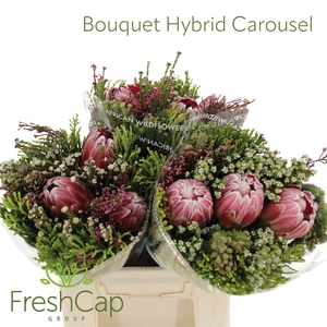 Bouquet Hybrid Carousel