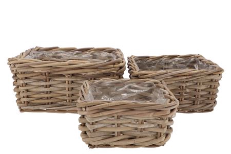 <h4>Rattan Ivy Square 30cm S/3</h4>