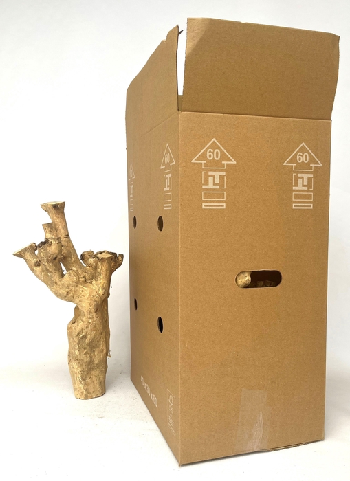 <h4>HOUT H%</h4>