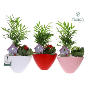 Pot keramiek ovaal Medium met Arrangement