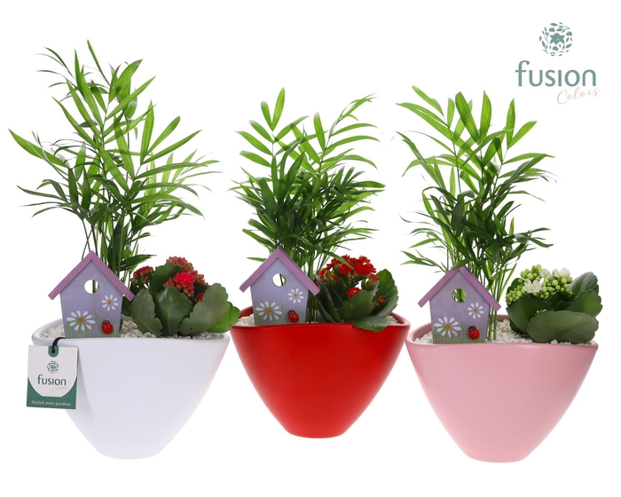 <h4>Pot keramiek ovaal Medium met Arrangement</h4>