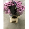 LIMONIUM DIAMOND PINK#*