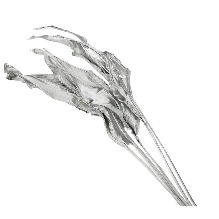 <h4>Kunstbloemen Estrelizia leaves 75cm x5</h4>