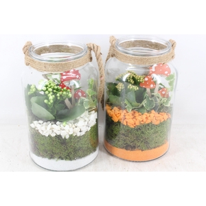 arr2 PL - Glas met touw hoog x6 - oranje/wit
