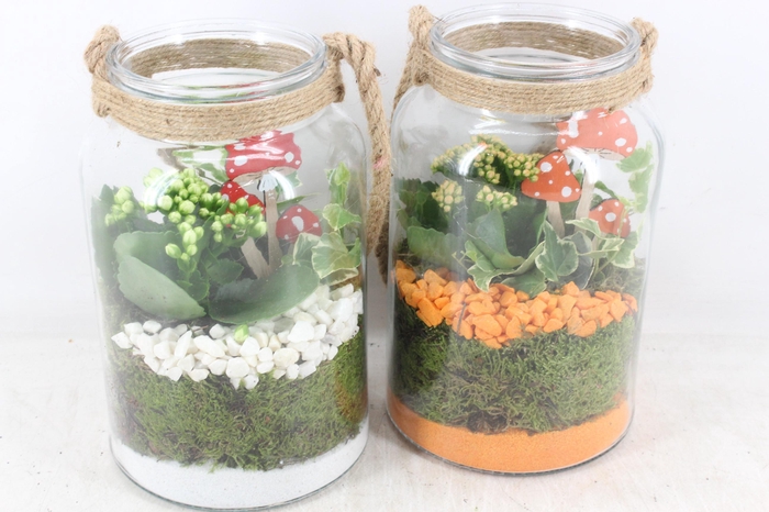 <h4>arr2 PL - Glas met touw hoog x6 - oranje/wit</h4>
