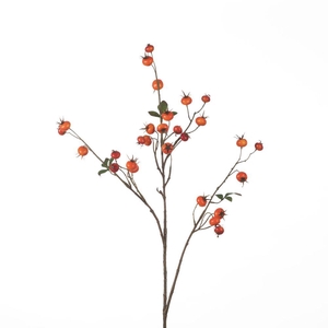 AF Rosehip Pumpkin Sp L102cm O