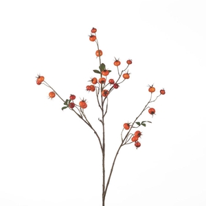 AF Rosehip Pumpkin Sp L102cm O
