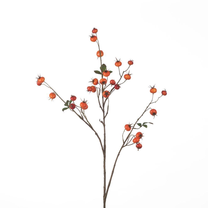 <h4>AF Rosehip Pumpkin Sp L102cm O</h4>