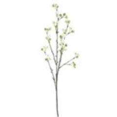 <h4>Bittersweet berry new green 66 cm</h4>