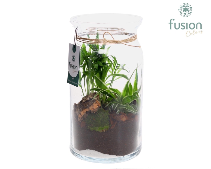 <h4>Melkbus met Kerst arrangement</h4>