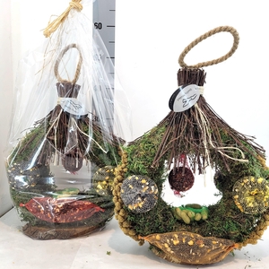 Voeder Vogel Huis 2 in Kado Folie