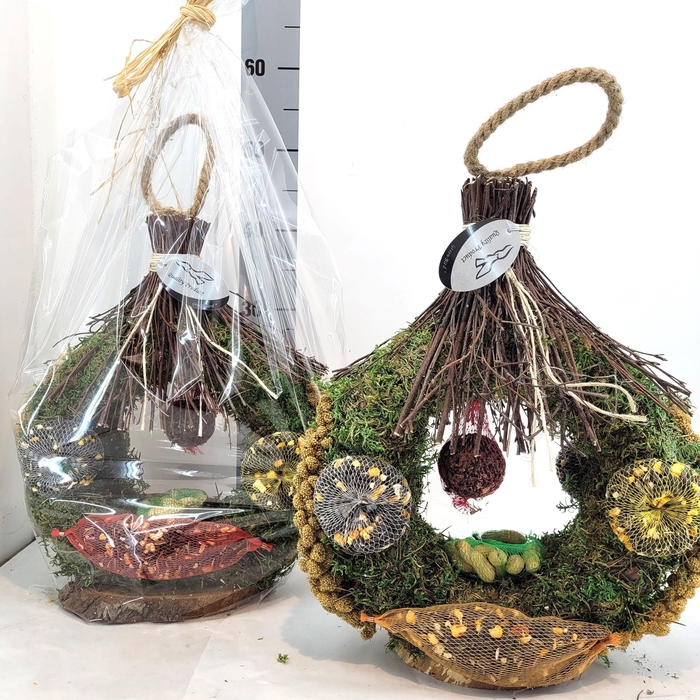 <h4>Voeder Vogel Huis 2 in Kado Folie</h4>