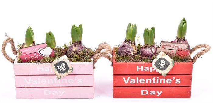 <h4>Hout rechthoek Valentine day 20x10</h4>