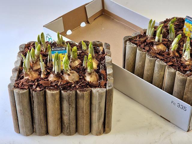 <h4>ARR N TETE A TETE</h4>