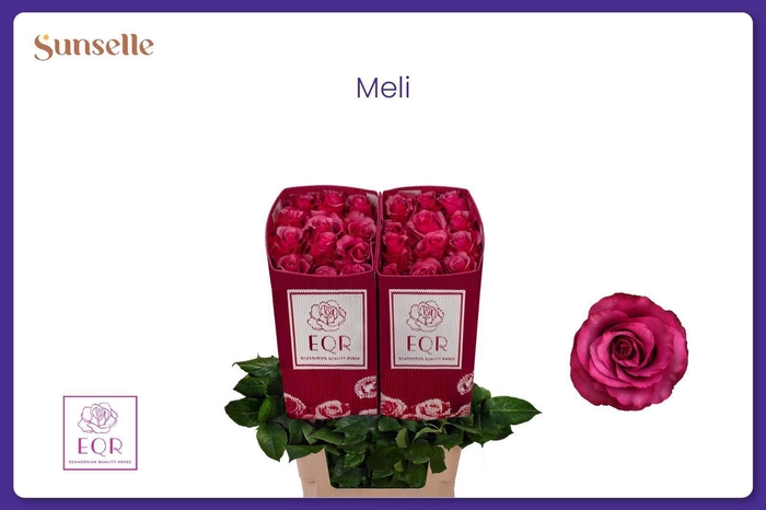 <h4>R GR MELI</h4>