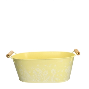 Zinc Celo tray 25*15*10cm