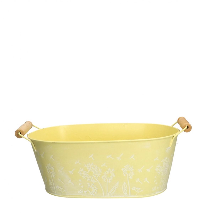 <h4>Zinc Celo tray 25*15*10cm</h4>