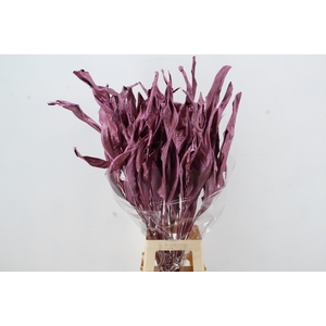 DF Strelitzia Leaf Metal Pink