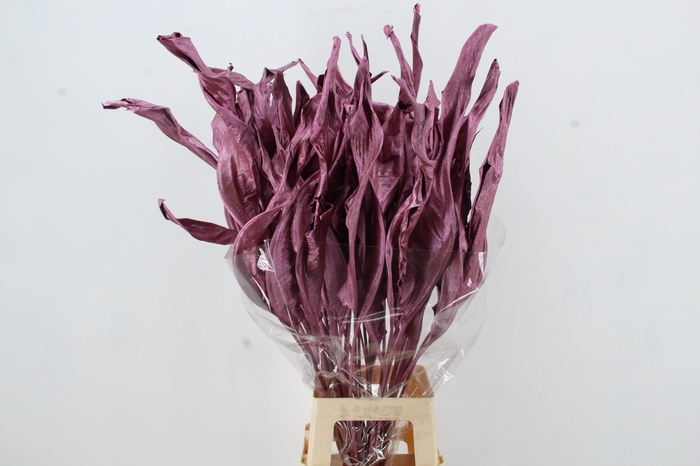 <h4>DF Strelitzia Leaf Metal Pink</h4>