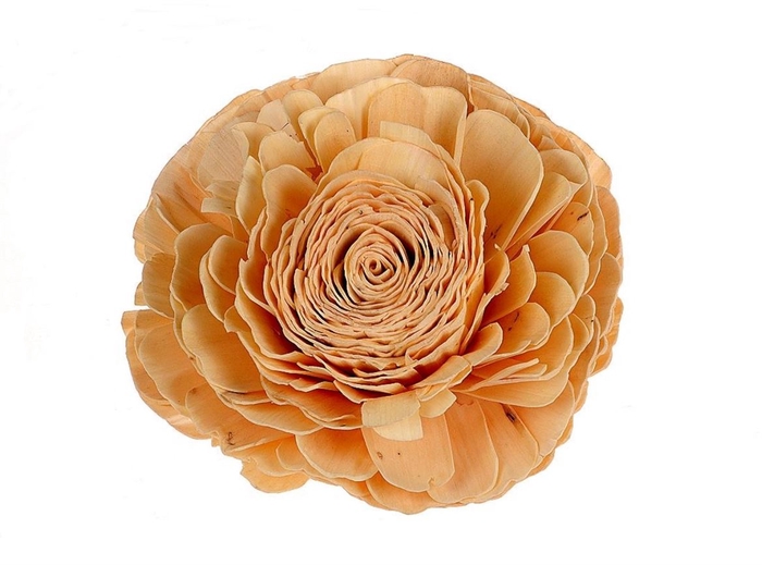 <h4>Deco Flower Yellow Head Zinnia 1pc D25 X1</h4>