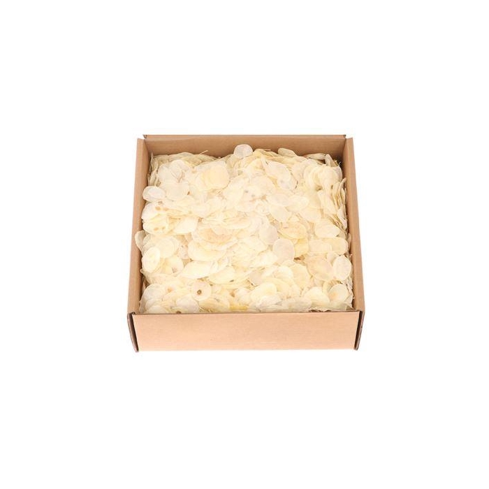 <h4>Box Lunaria Leaves L25</h4>