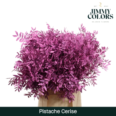 <h4>Pistache L50 Klbh. cerise</h4>