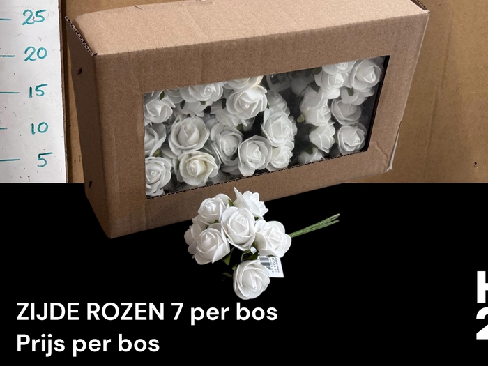 <h4>HUIS EN TUINDECO H%</h4>