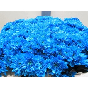 CHR T EURO LIGHT BLUE