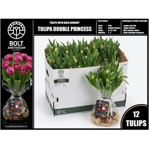 TU DU DOUBLE PRINCES