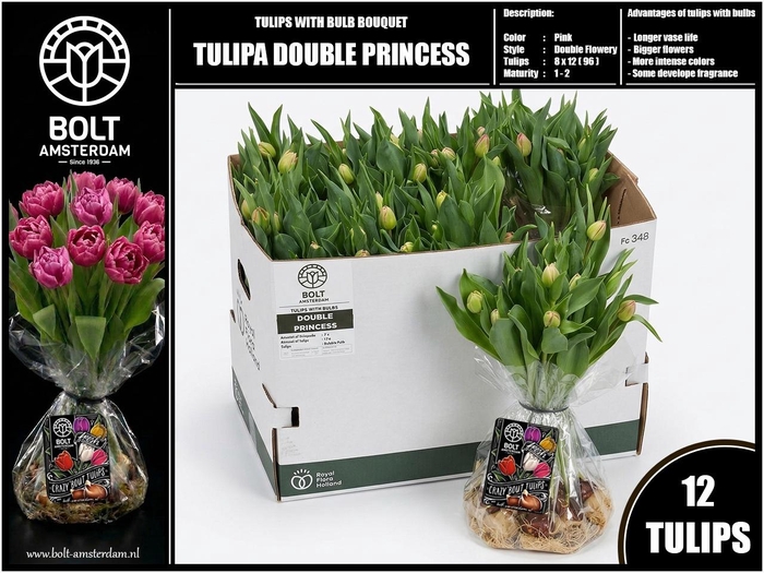 <h4>TU DU DOUBLE PRINCES</h4>