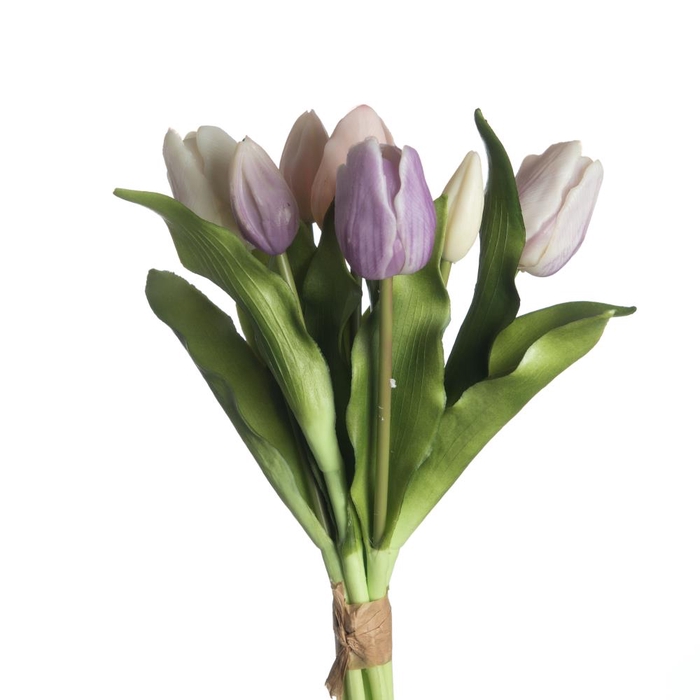 Af Tulip Bundle X7 L31cm Mix L