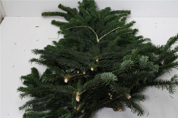 <h4>Nordman 5kg</h4>