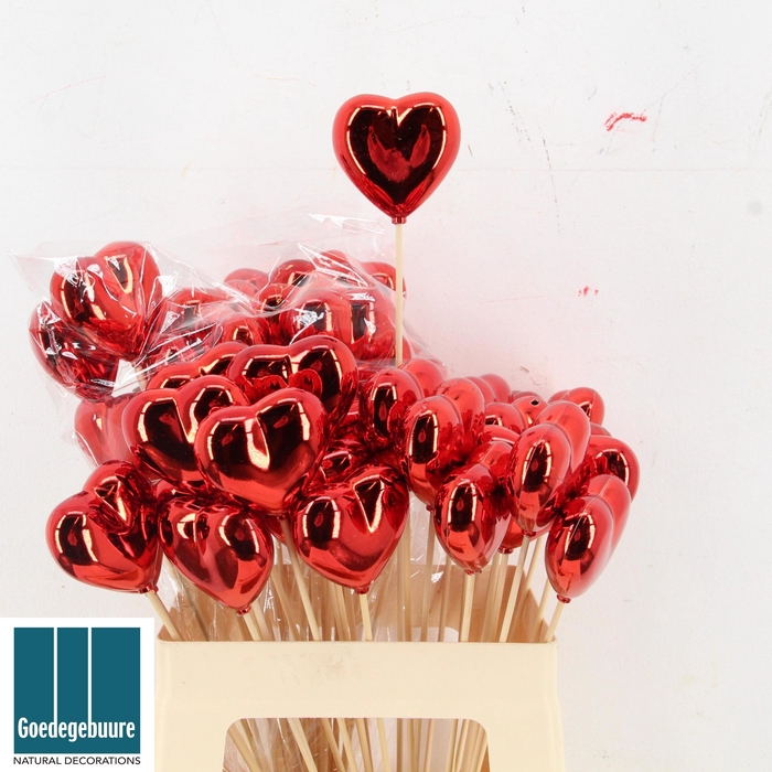 <h4>HARTJE OP STOK H%</h4>