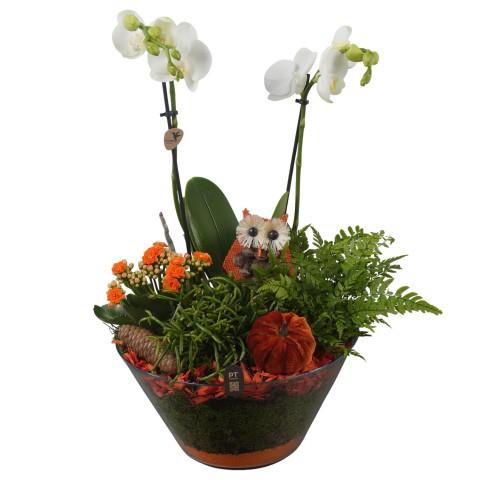 <h4>PTHG8274 Arrangement Autumn Glass in glas schaal</h4>