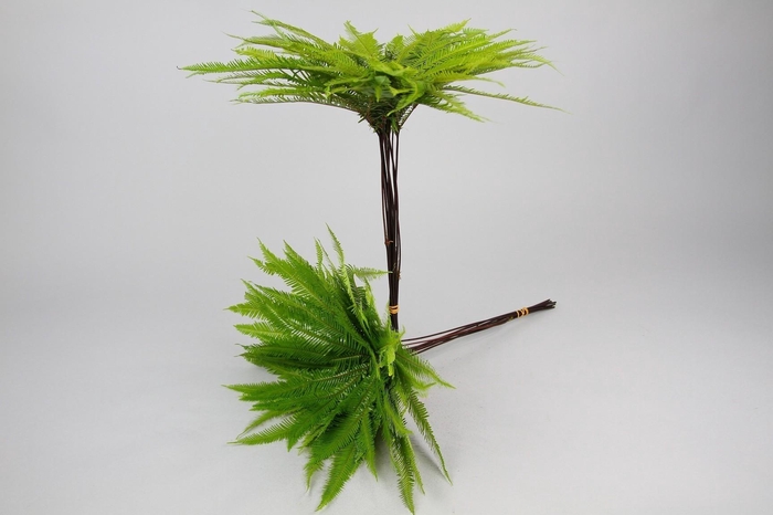 <h4>Umbrella (air) Premium x5</h4>