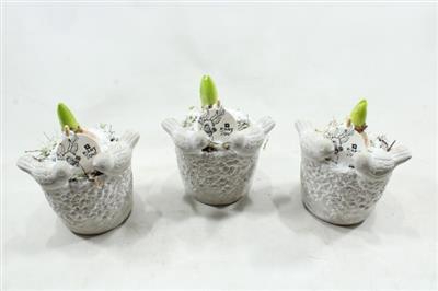 6033 HYAC VOGELPOTJE