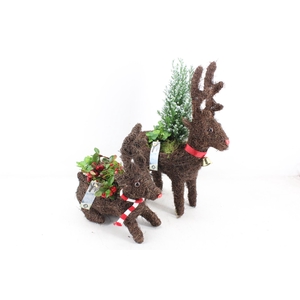 arr4 Outdoor JS - Rendier plant mix