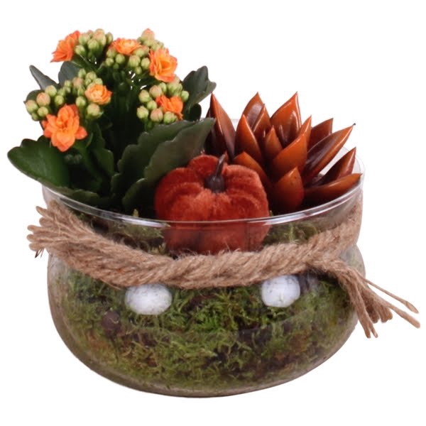 <h4>Autumn Arr. Indoor Glass Bowl with Rope Ø16cm 2PP</h4>