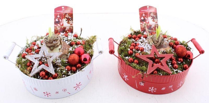 <h4>ARR BOL KNOLGEWAS</h4>