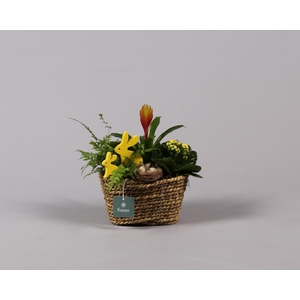 Pasen zeegras mand ovaal klein