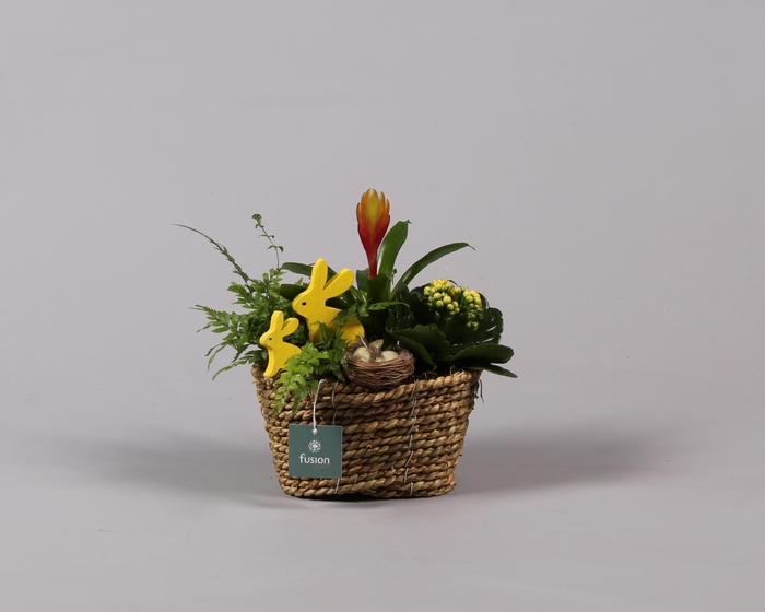 <h4>Pasen zeegras mand ovaal klein</h4>
