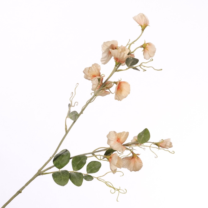 <h4>Lathyrus Spray Peach FL440247PEA</h4>