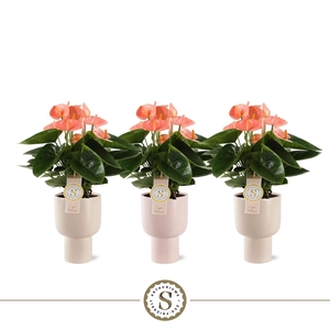 Roma Keramiek Spirit