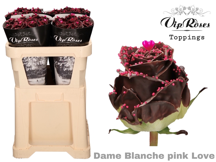 <h4>R GR DAME BLANCHE PINK LOVE x30</h4>