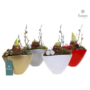 Kerst keramiek met Amaryllis